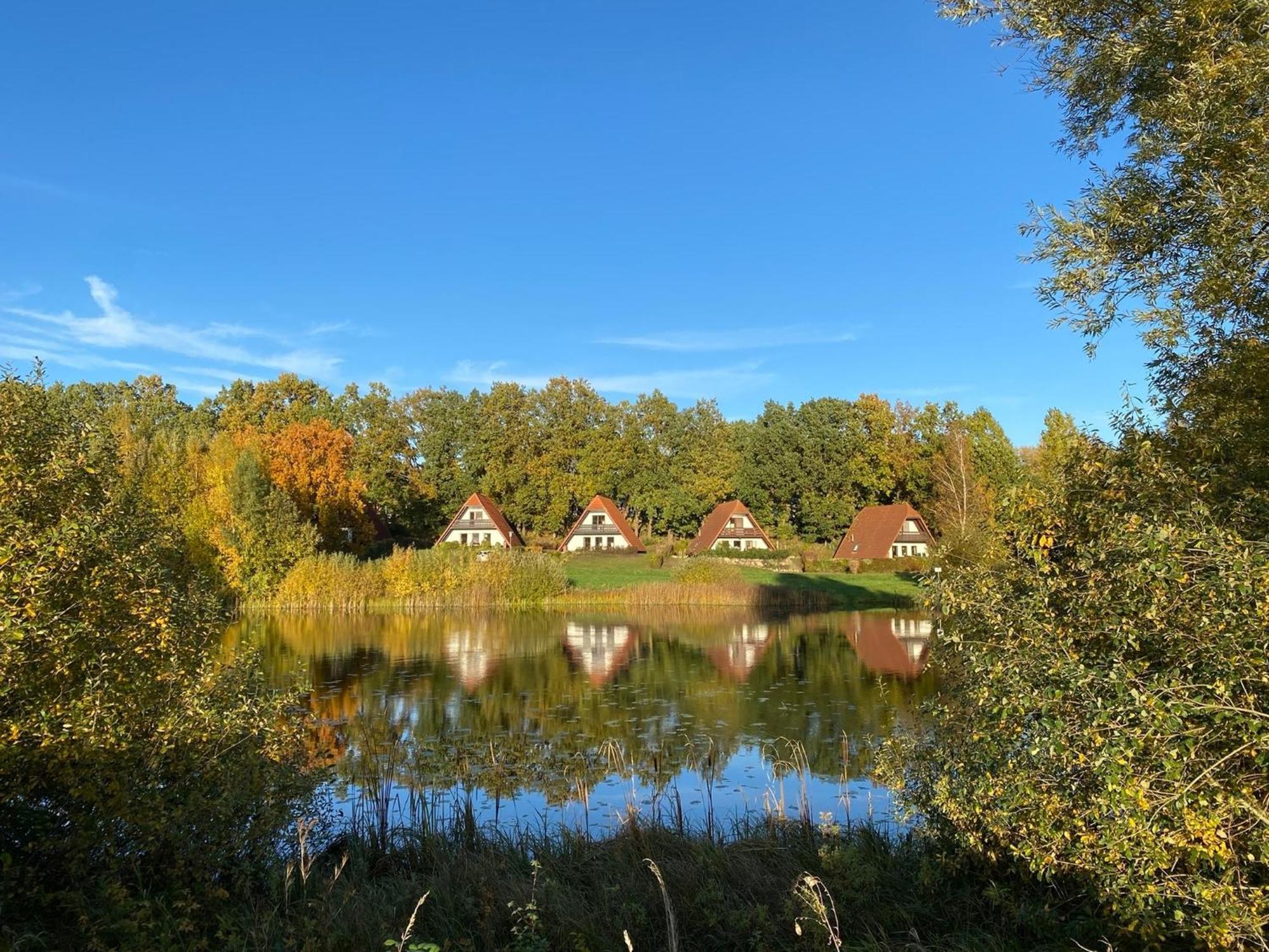 Finnhaeuser Am Vogelpark - Haus Luise マルロー エクステリア 写真